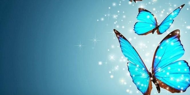 willorkys's profile banner image