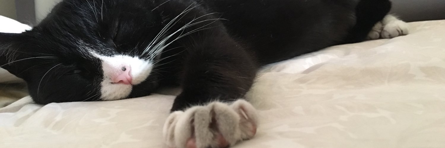 mishspelled's profile banner image