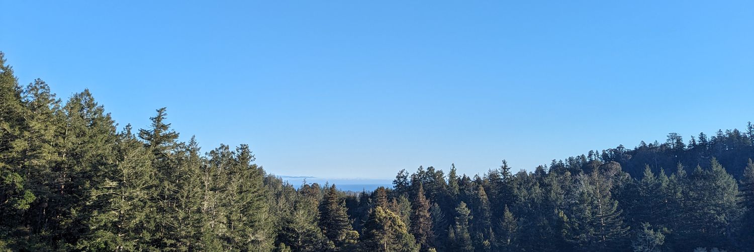 Scott Patterson banner