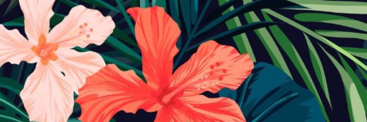ClauCastilloo's profile banner image
