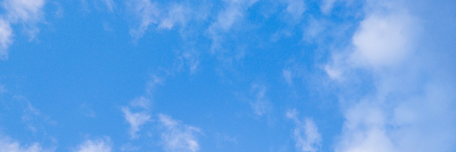 Wayne Mitchell banner