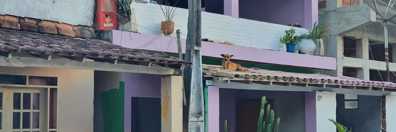 ingradado's profile banner image