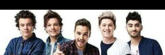 idirectioner21's profile banner image