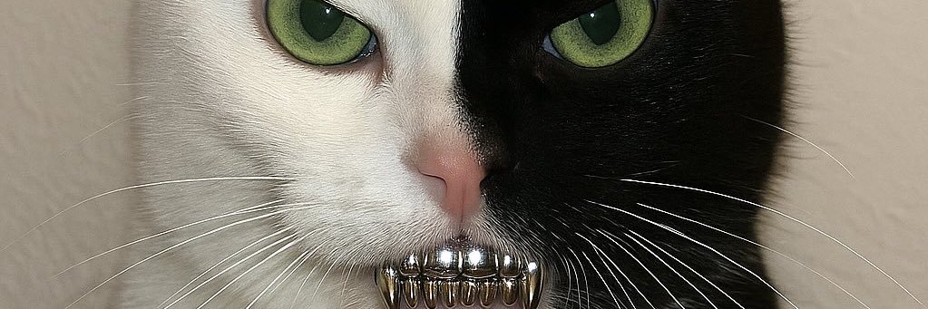 seuchapa_'s profile banner image