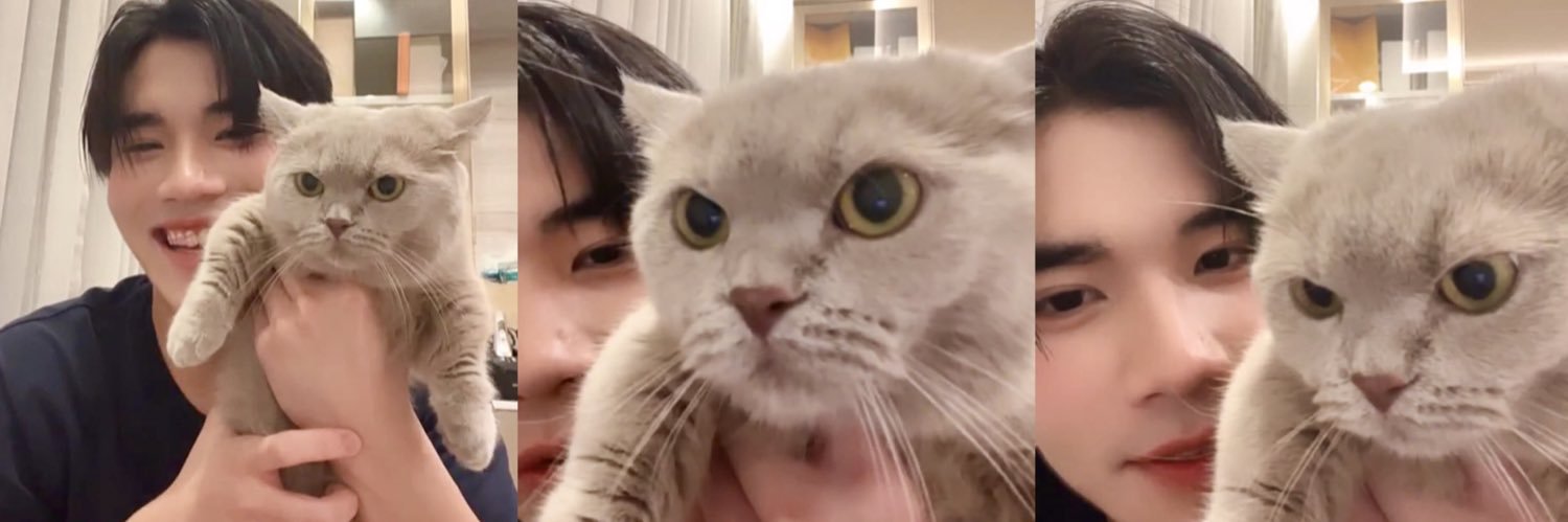 𝐉𝐄𝐍𝐈⋅ᯓᡣ𐭩 banner