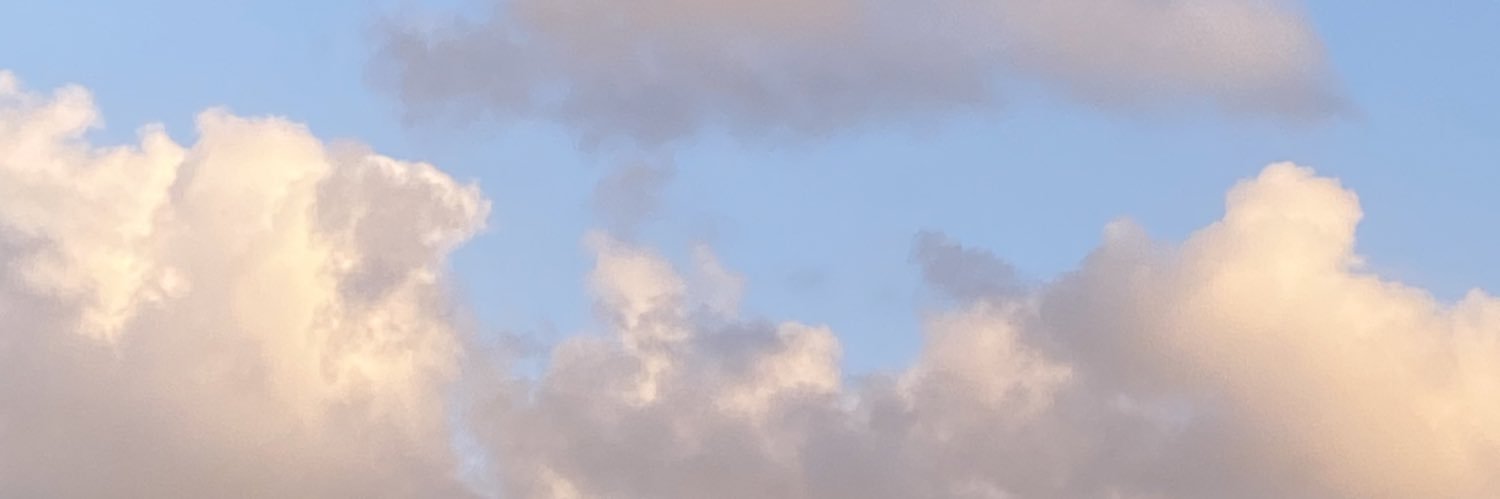 angelavidovich's profile banner image