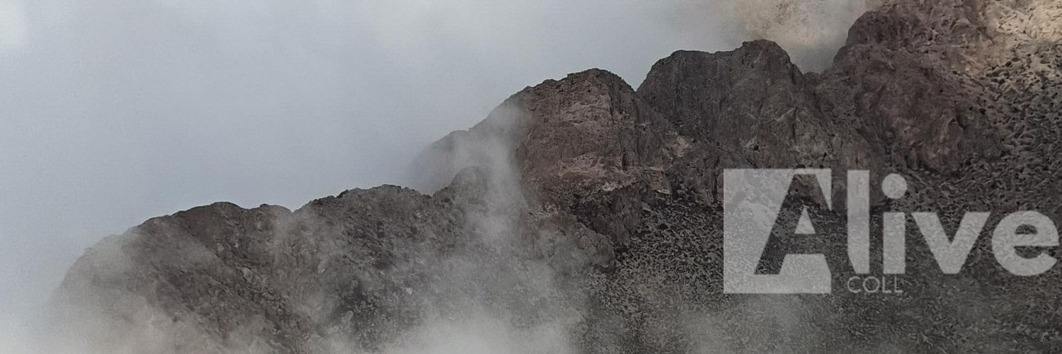 AlejandroColl's profile banner image