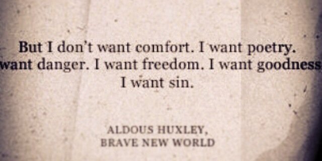 sandra_c_b_'s profile banner image