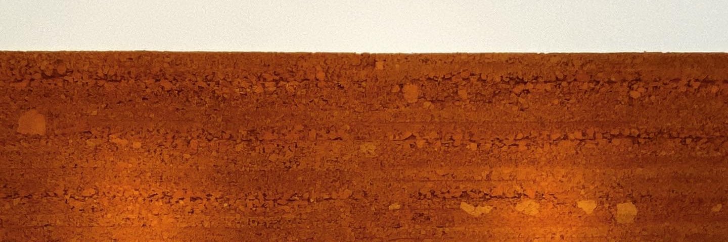thabataferraz's profile banner image