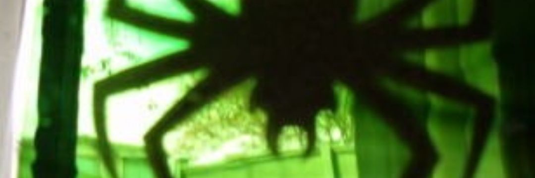 thenaturalbone's profile banner image