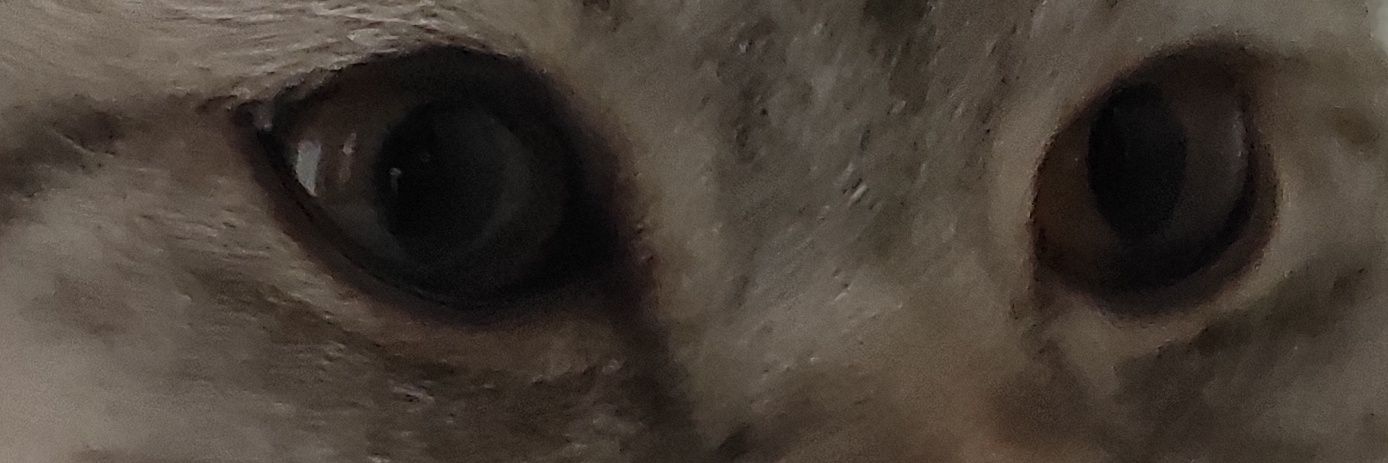 BTeloren's profile banner image