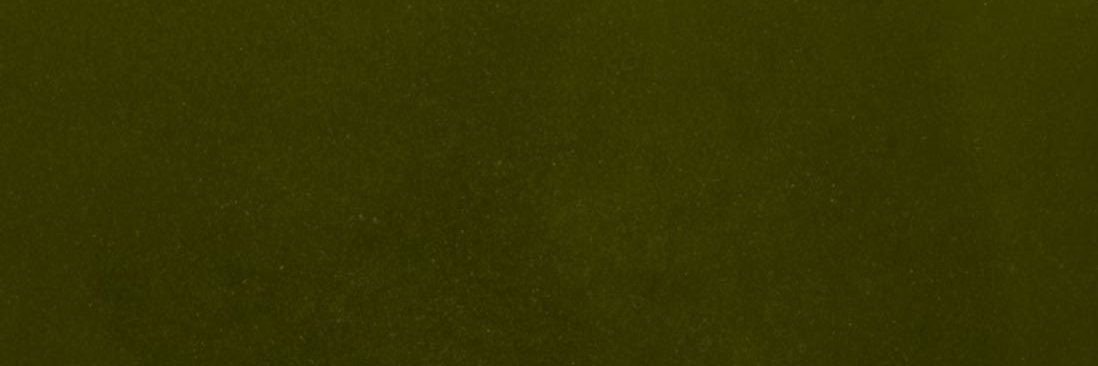 untitled ungastered. banner