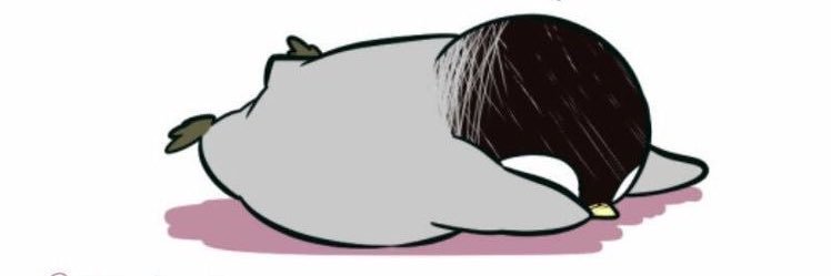 🤍☾ بـطريـق ☽🤍 banner