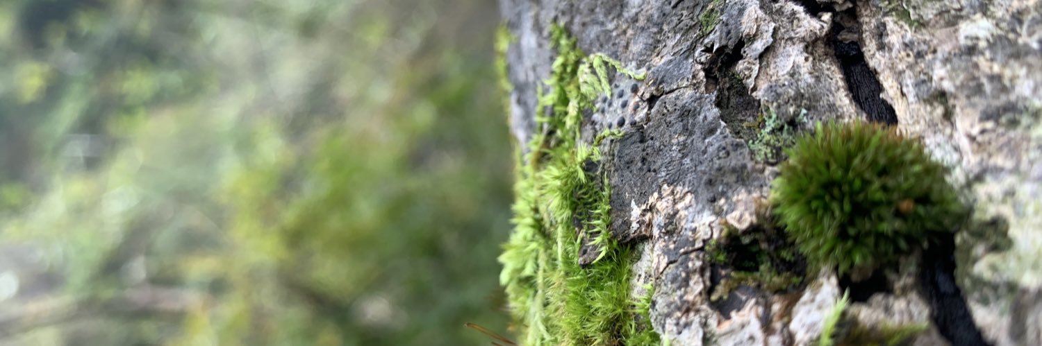 2000年生まれ。 banner