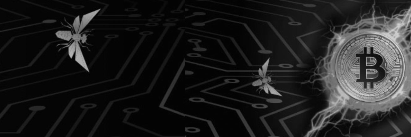 ThorntonCrypto's profile banner image