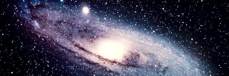 Neffton (Nevervax) 🥝❎🐸 banner