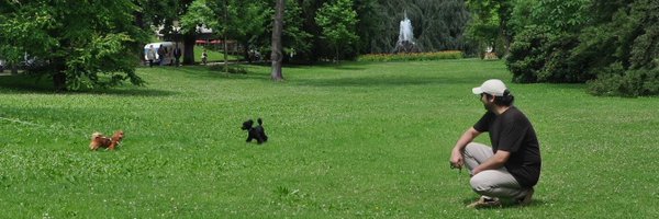 bdonesem Profile Banner