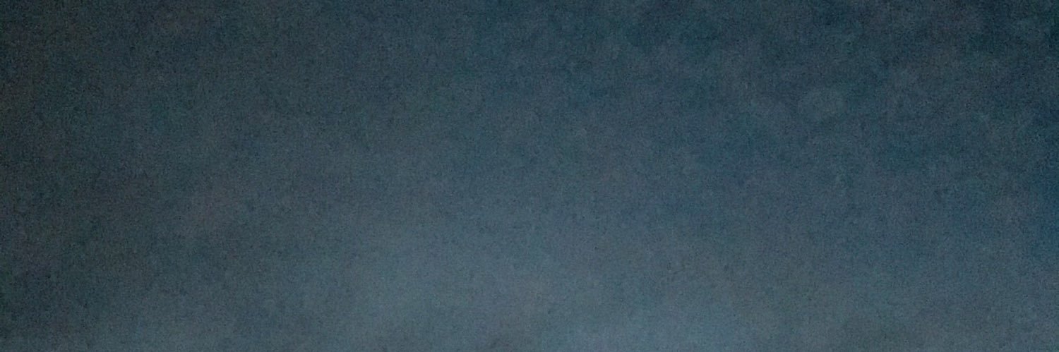 Roacetcdr's profile banner image
