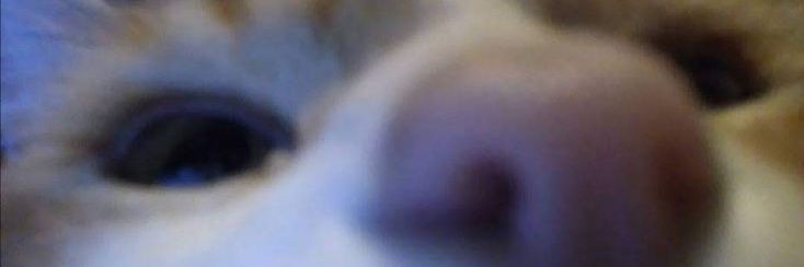 Mi_Suk1's profile banner image