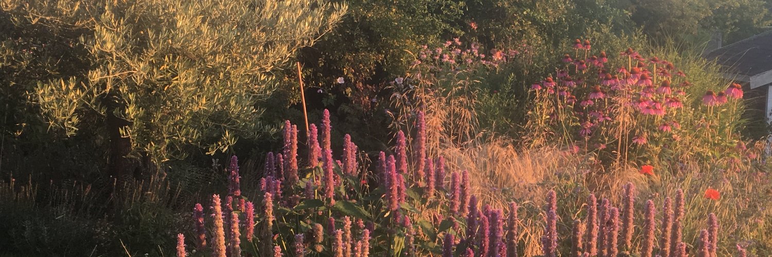 ummocrono's profile banner image