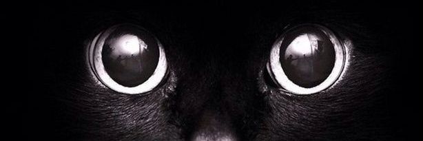 Millie_16's profile banner image