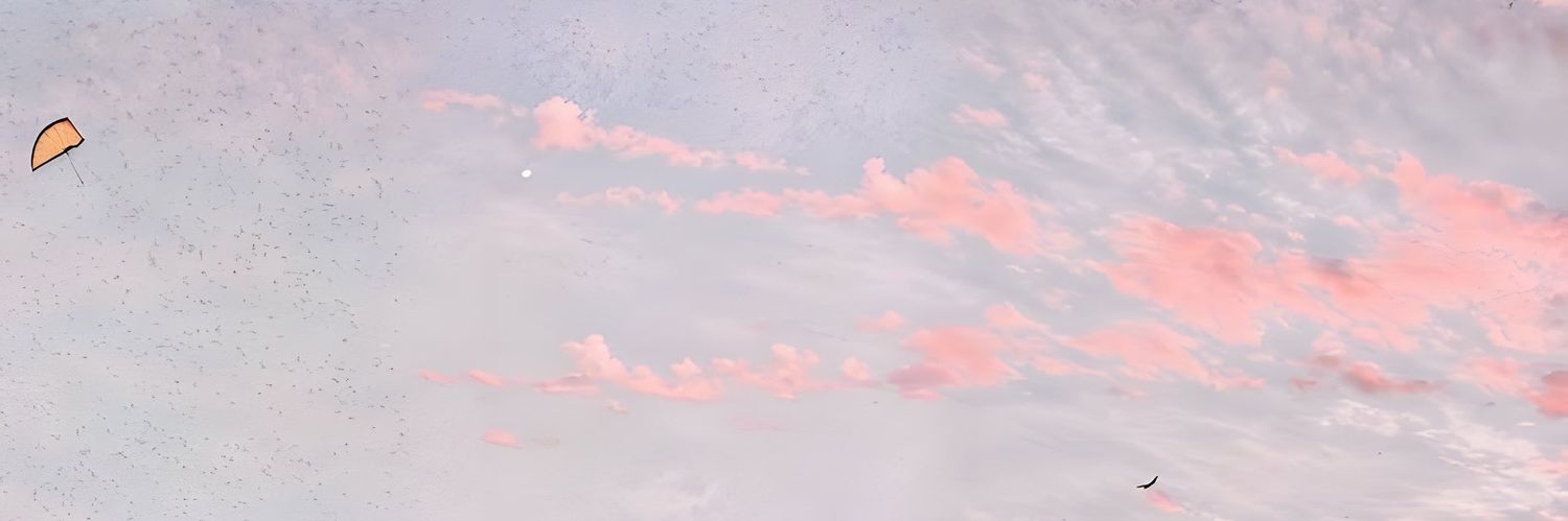 znsykr's profile banner image