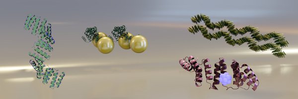 BioMolNano_bmG Profile Banner