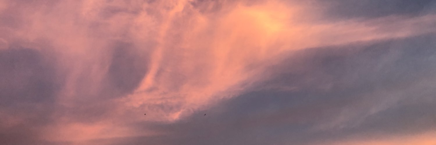 Nierariru's profile banner image