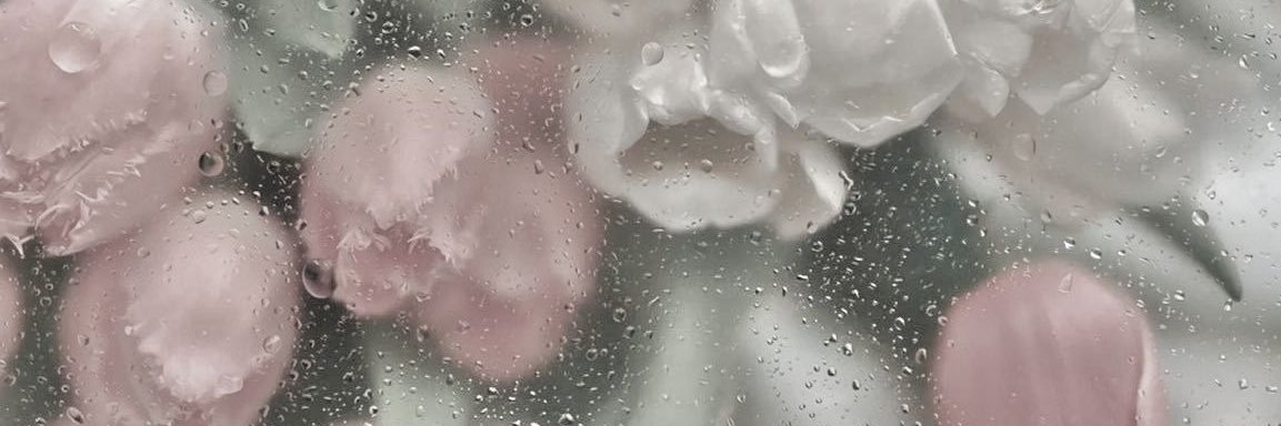 ぴな@初回様ﾘﾄﾘﾝ必読 banner