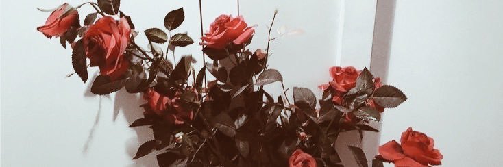 juridico conrad e staylor's banner