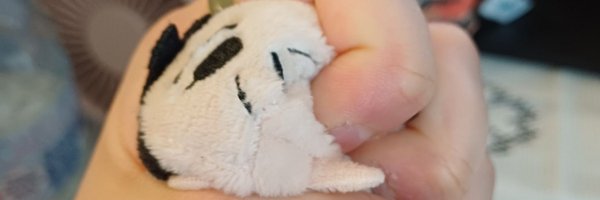 beans_hat Profile Banner