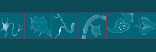J_Neurotrauma Profile Banner