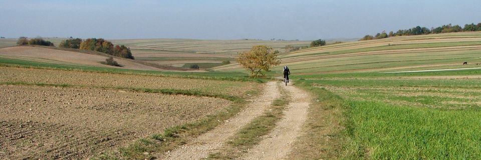Polish Association of Geomorphologists banner