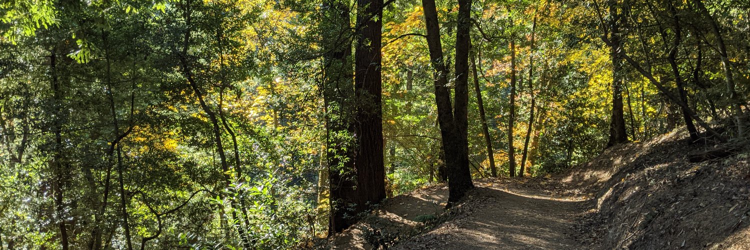 Noah Constant banner