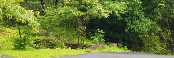 AsmitaMohite6 Profile Banner