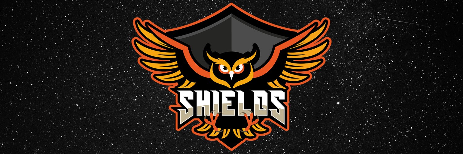SHIELDS DLS banner