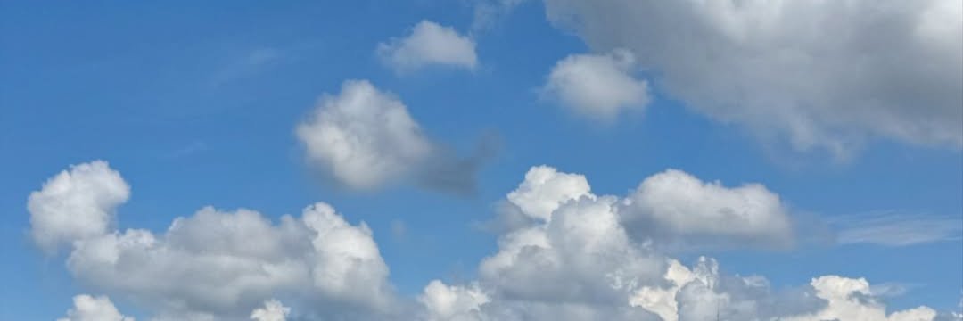 amnoboy's profile banner image