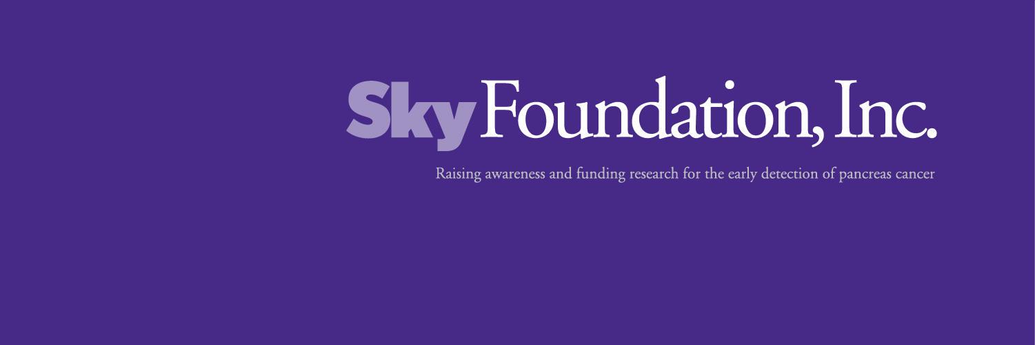 skyresearch's profile banner image