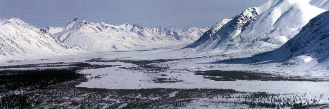 Scientists Step Up to Climate Change banner
