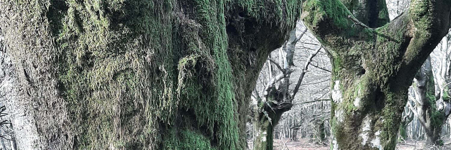 Arabako Mendiak Aske banner