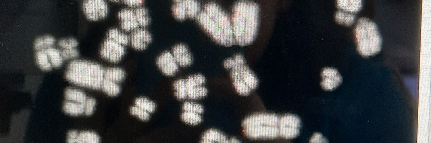 Carla Canedo Ribeiro banner