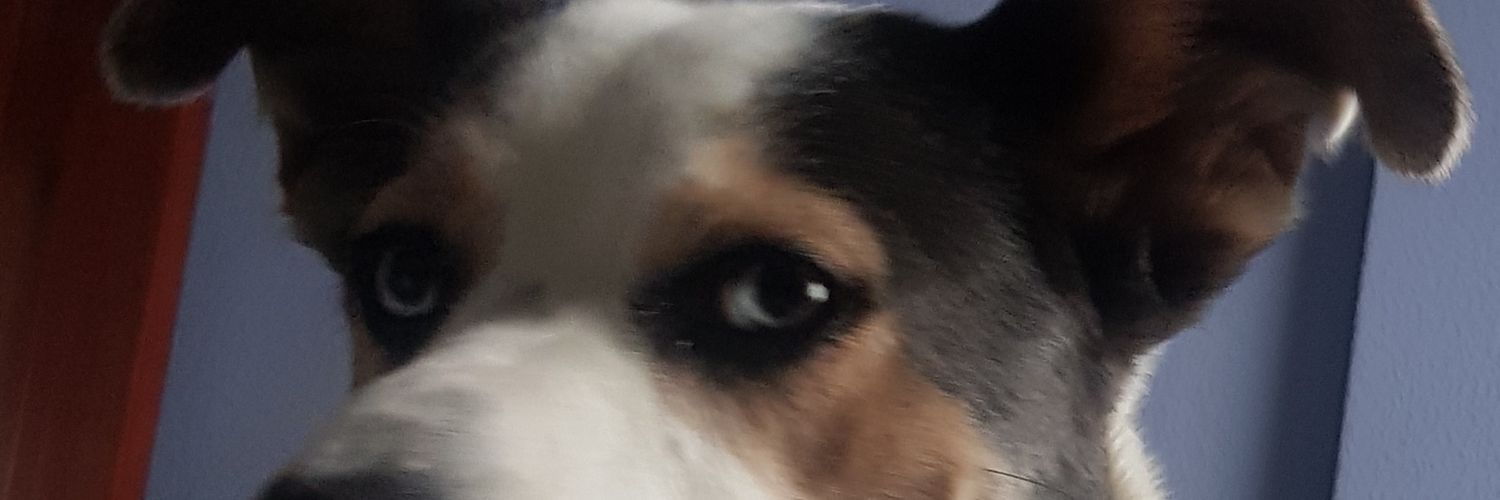 Hugo74775891's profile banner image