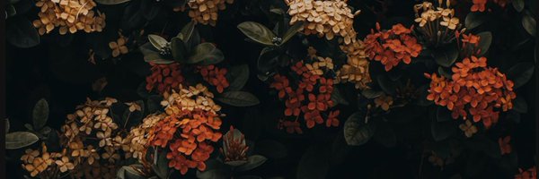 tangosyourtek Profile Banner