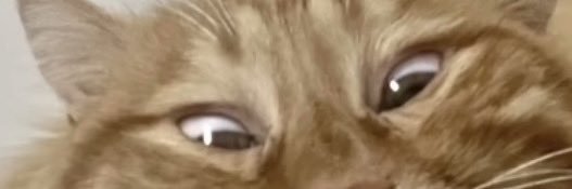 dpdodod1's profile banner image