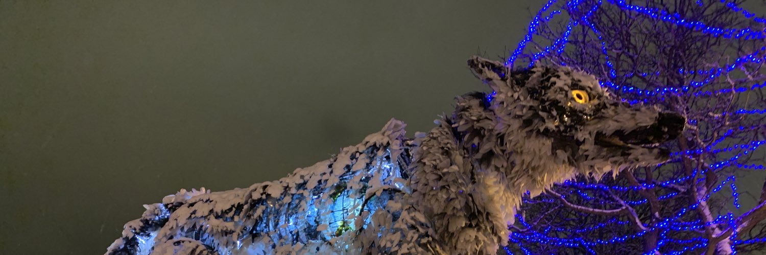 TrackiesAndGear's profile banner image