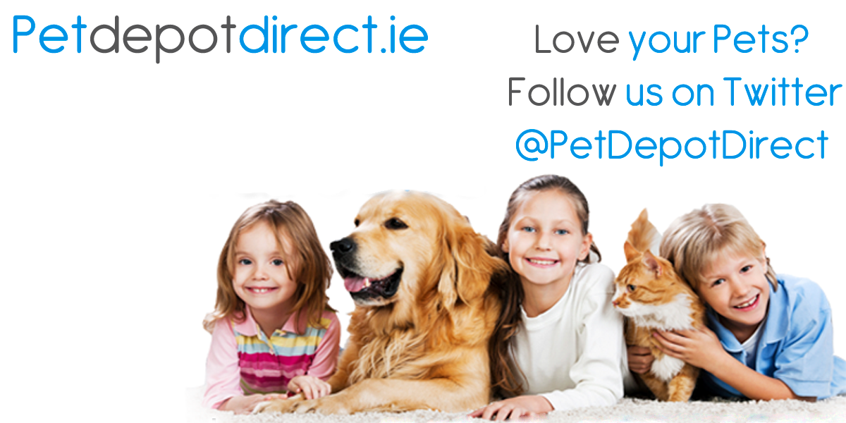 PetDepotDirect's profile banner image