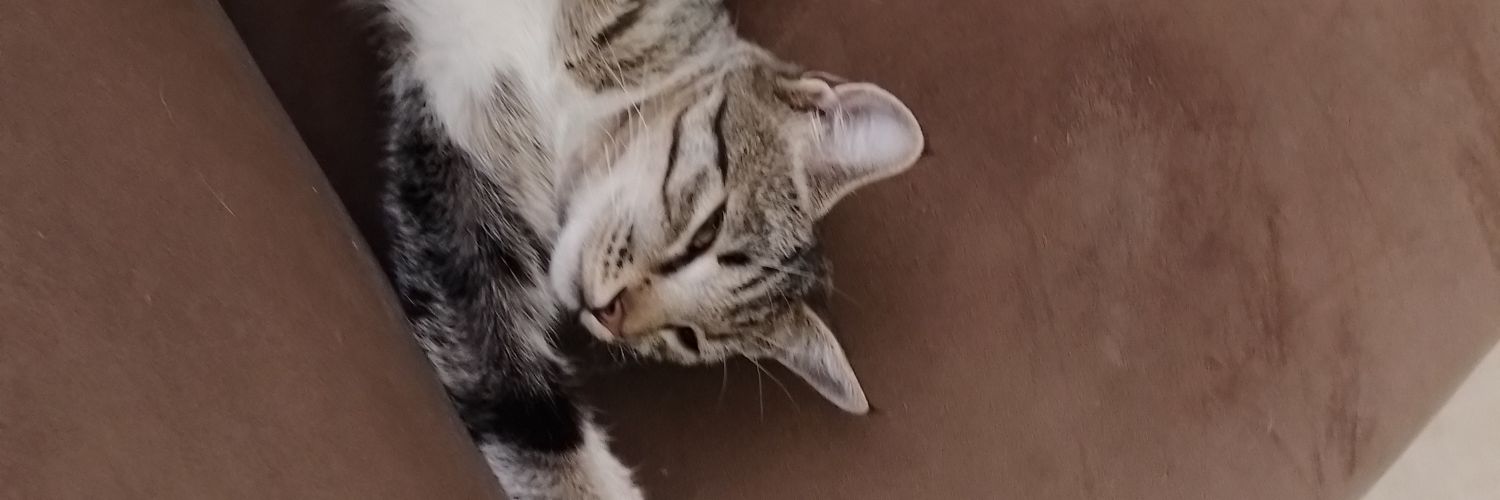 owegib's profile banner image