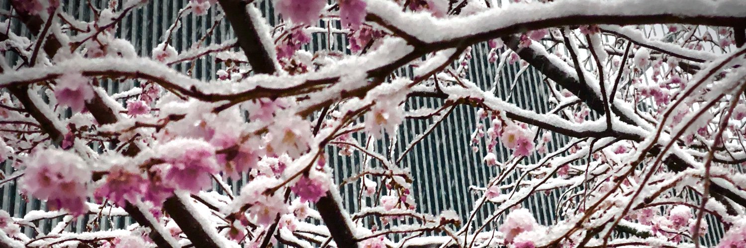may_hanna's profile banner image