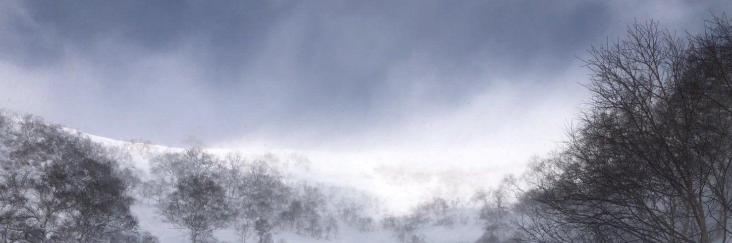 Pantone1117's profile banner image