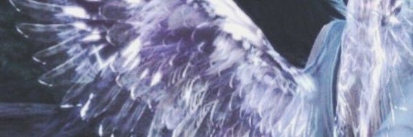 syIuvs Profile Banner